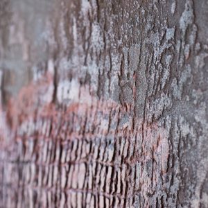 alice-corbetta-decoratori-montespertoli-firenze-gallery