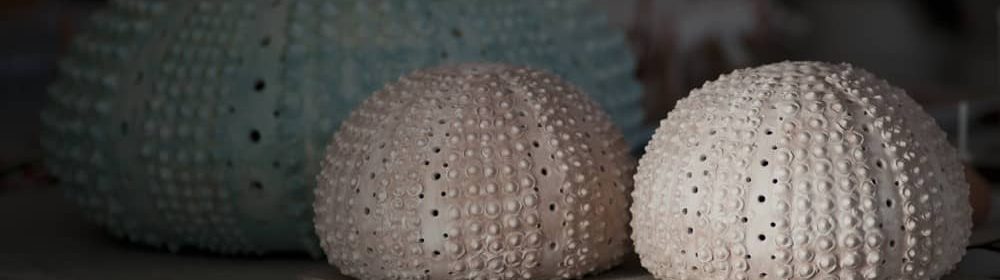 angelo-sciannella-ceramisti-cabras-oristano-thumbnail