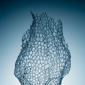 simone-crestani-artigiani-del-vetro-vicenza-veneto-gallery