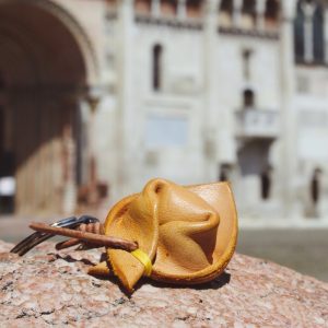 la-vacchetta-grassa-pellettieri-modena-gallery