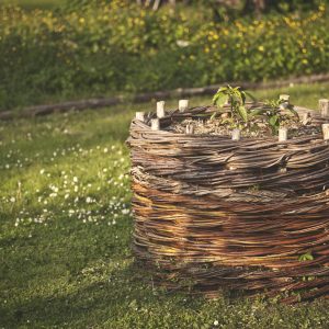 intrecci-toscani-intrecciatori-vecchiano-pisa-gallery