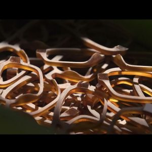 1955-occhialai-tito-potenza-gallery