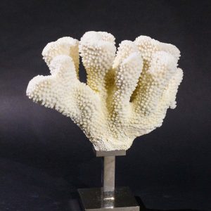 giuliano-tincani-decoratori-gallery