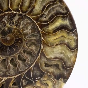 giuliano-tincani-decoratori-gallery