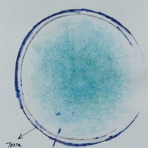 solelo-ceramisti-saluzzo-cuneo-gallery