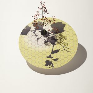 gatti-1928-ceramisti-faenza-ravenna-gallery