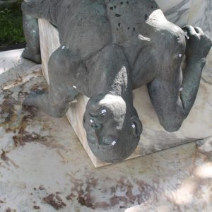 carolina-tamagnone-conservare-la-bellezza-chieri-torino-gallery