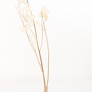 mamate-ceramisti-brescia-gallery