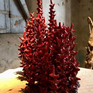 edi-magi-ceramists-castiglion-fiorentino-arezzo-gallery-1