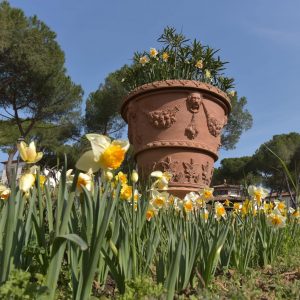 fornace-masini-ceramisti-impruneta-firenze-gallery