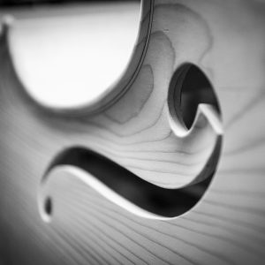 guido-mariotto-liutai-porto-mantovano-mantova-gallery