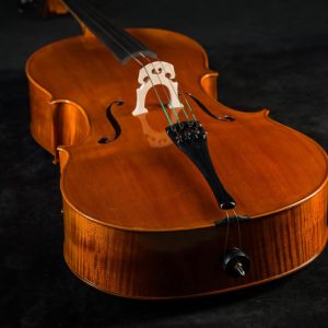 matteo-mazzotti-liutai-piacenza-gallery