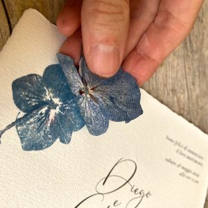 stampalanatura-tessitori-e-decoratori-di-tessuti-ostuni-brindisi-gallery