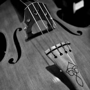 gianmaria-assandri-liutai-genova-gallery