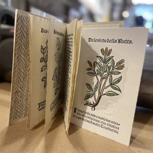 bottega-del-tintoretto-stampatori-darte-venezia-gallery