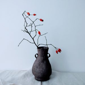 cicindele-ceramica-ceramisti-casalecchio-di-reno-bologna-gallery-3