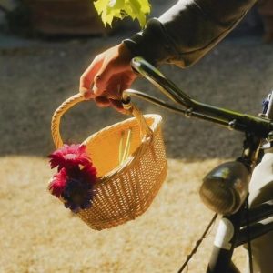 intrecci-vegetali-intrecciatori-san-casciano-in-val-di-pesa-firenze-gallery