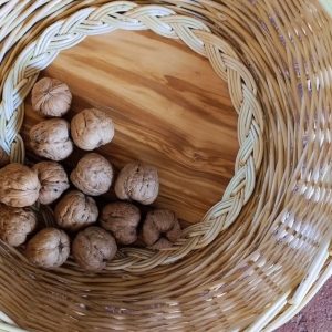 intrecci-vegetali-intrecciatori-san-casciano-in-val-di-pesa-firenze-gallery-0
