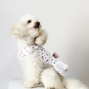 gimaci-pet-couture-sarti-sezzadio-alessandria-gallery