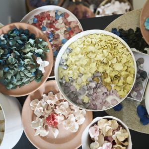 taala-bigiottieri-lissone-monza-e-della-brianza-gallery