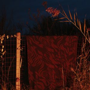 lanificio-leo-tessitori-soveria-mannelli-catanzaro-gallery