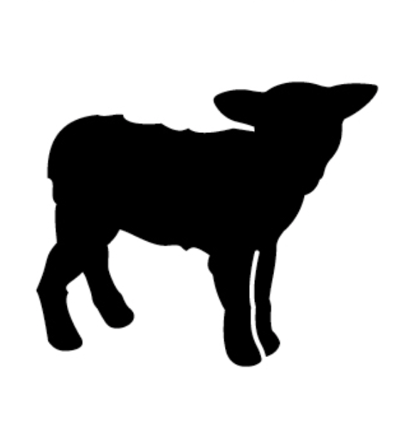 lanificio-leo-tessitori-soveria-mannelli-catanzaro-profile