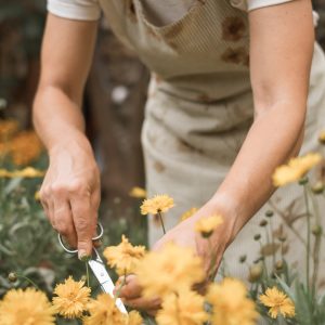 nathueral-eco-atelier-stampatori-e-tintori-di-tessuti-giustenice-savona-gallery-2