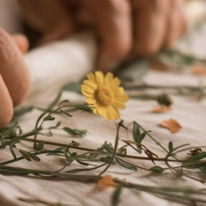 nathueral-eco-atelier-stampatori-e-tintori-di-tessuti-giustenice-savona-gallery-0