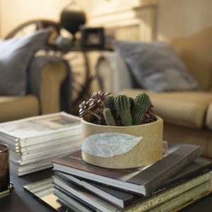 associazione-terra-verde-ceramisti-bologna-gallery-0