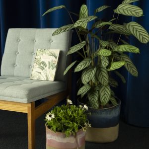 associazione-terra-verde-ceramisti-bologna-gallery-3