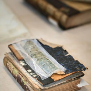 soseishi-restauro-e-conservazione-torino-gallery-1