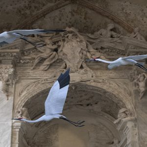alice-zanin-paper-sculpture-podenzano-piacenza-gallery-0