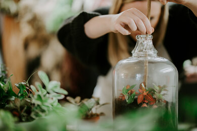 Gardening short courses at West Dean College