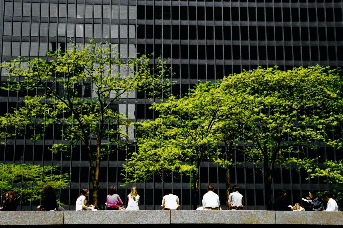 Cost-effective investments to increase energy efficiency and your commercial buildings value.
