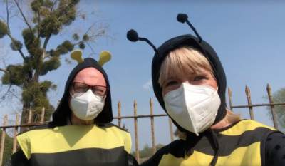 Garden Bees