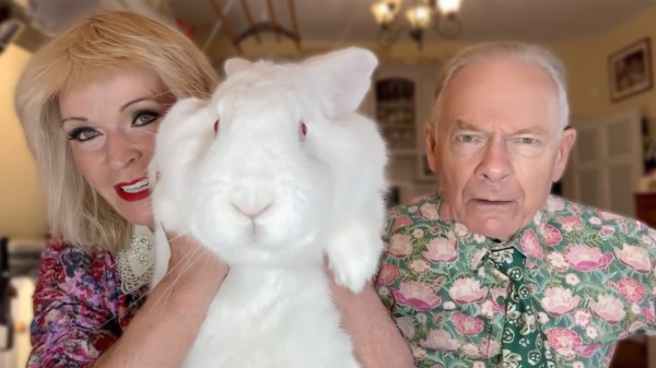 Toyah & Robert's Weekend DGM Live