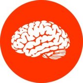 Braincities logo