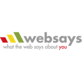 Websays logo