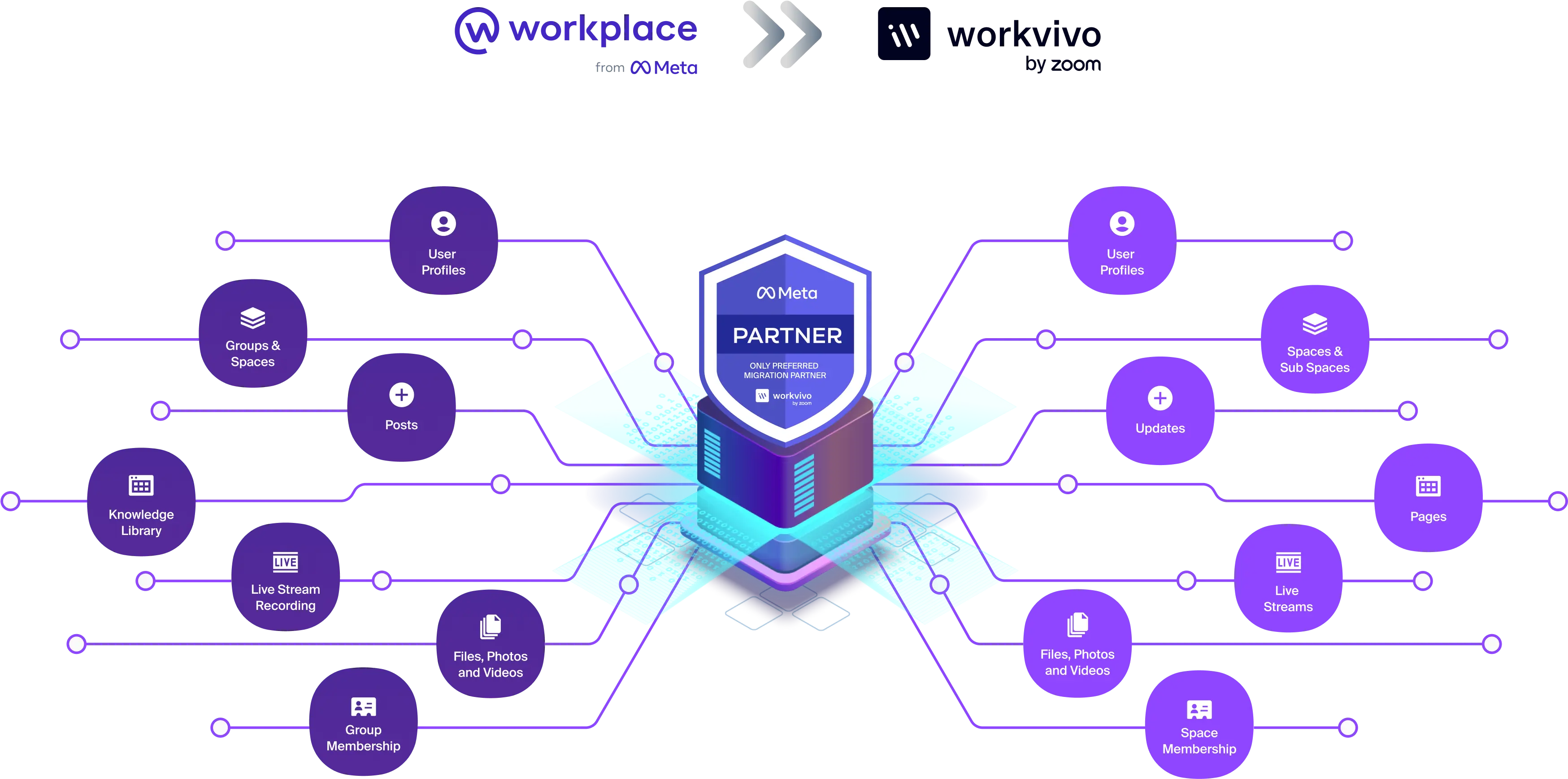 migration_infographic_v2.webp