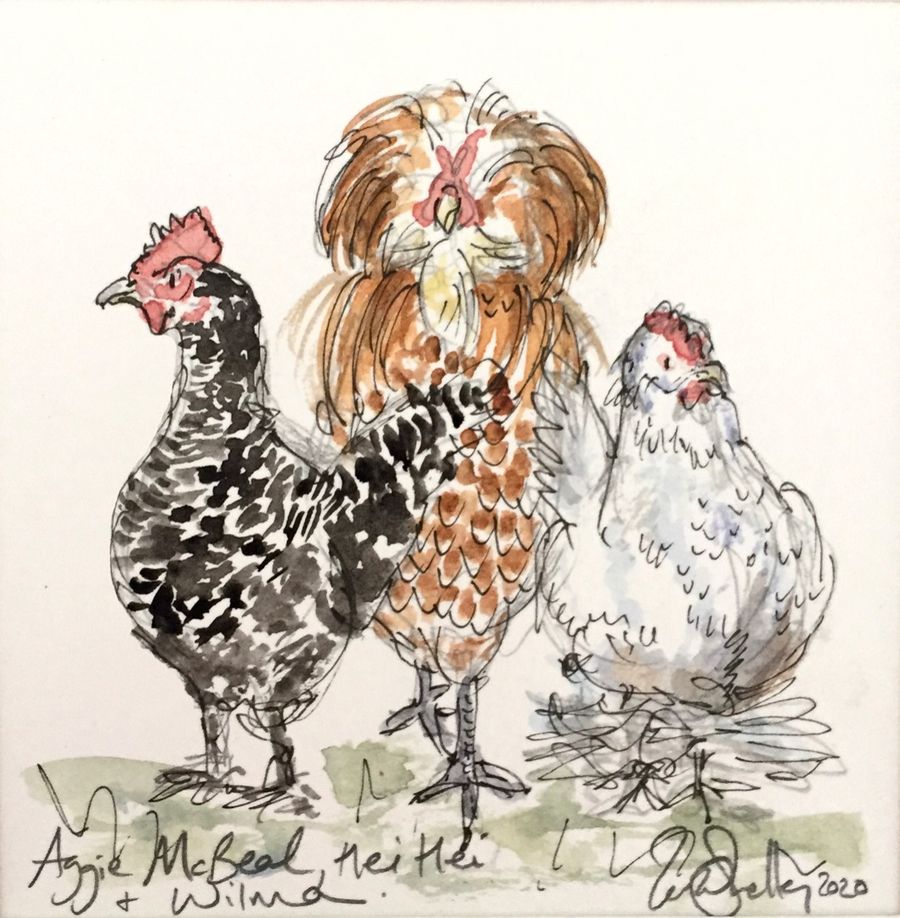 Ink and watercolour of three chickens: Aggie McBeal, Hei Hei and Wilma