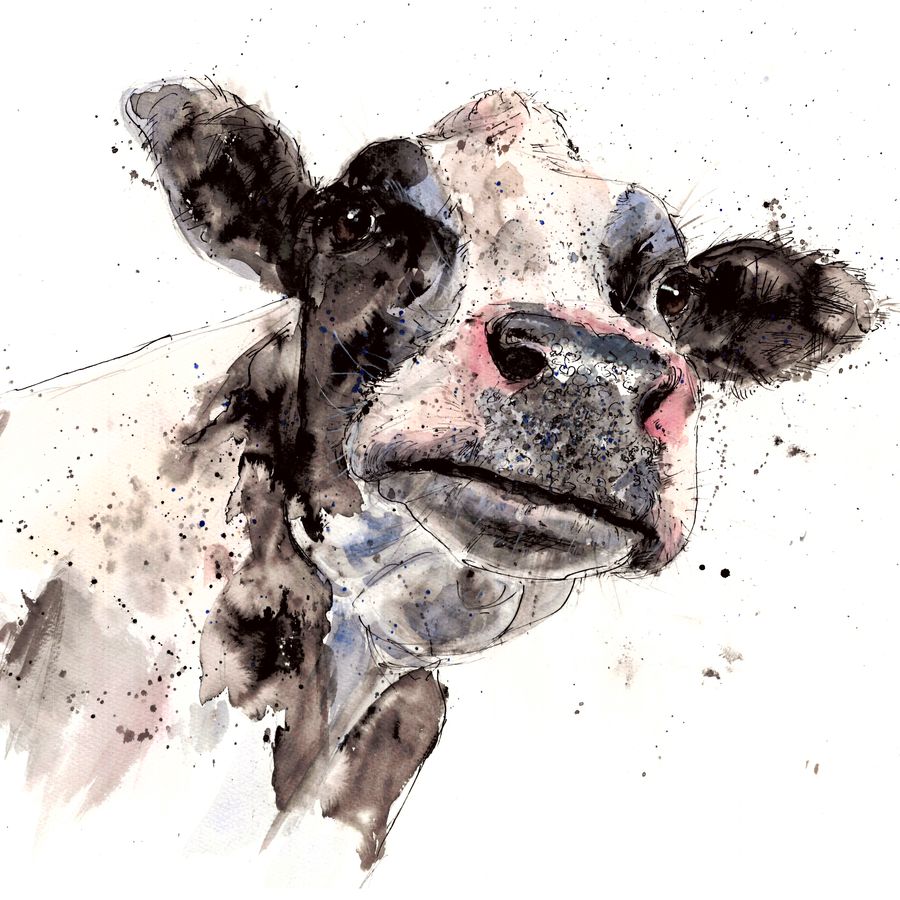 Dairy cow illustration