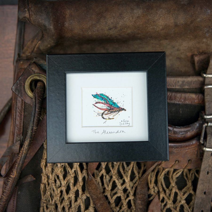 The Alexandra fishing fly illustration in a black frame