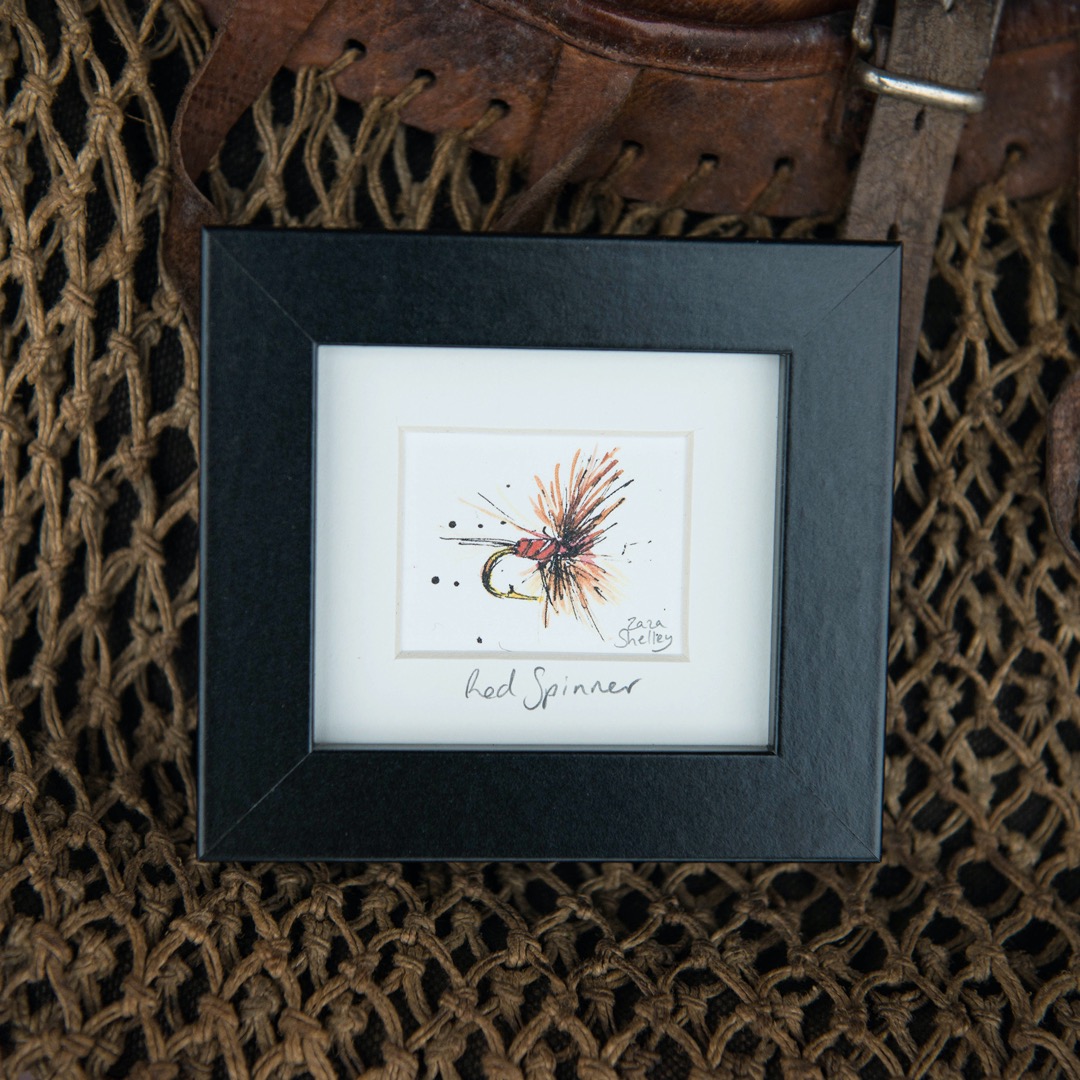Red Spinner fishing fly illustration in a black frame