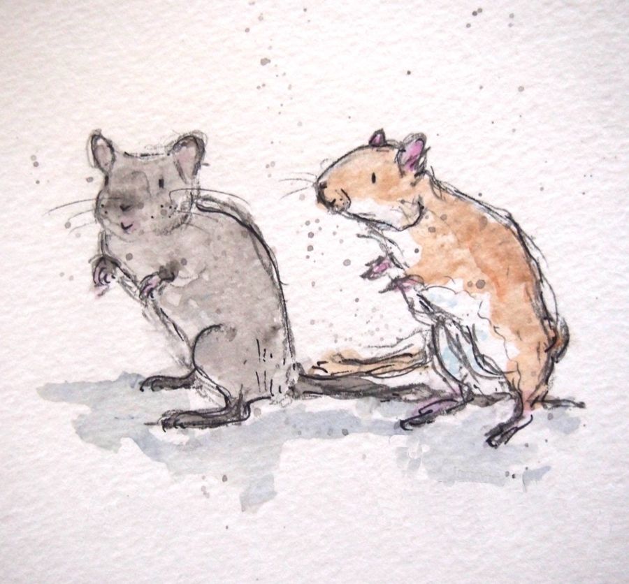 Ink and watercolour of two mice standing