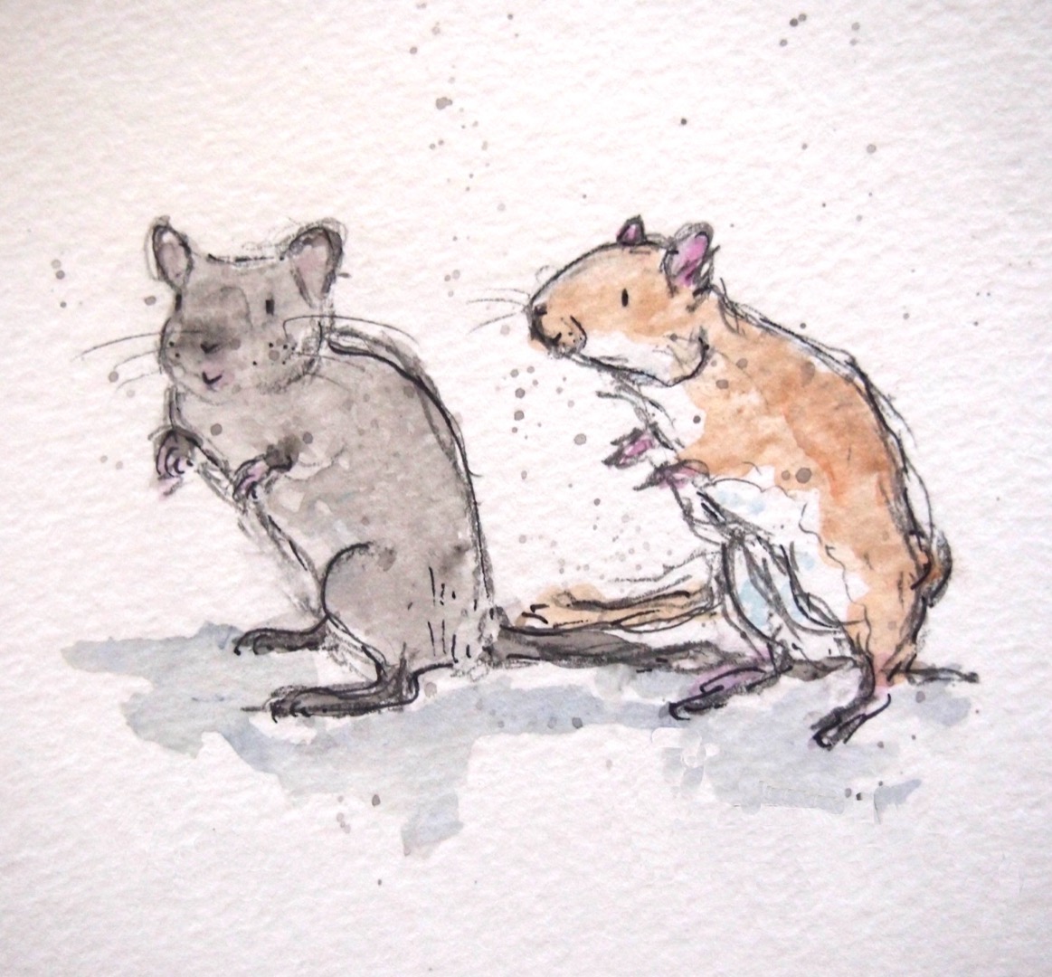 Ink and watercolour of two mice standing
