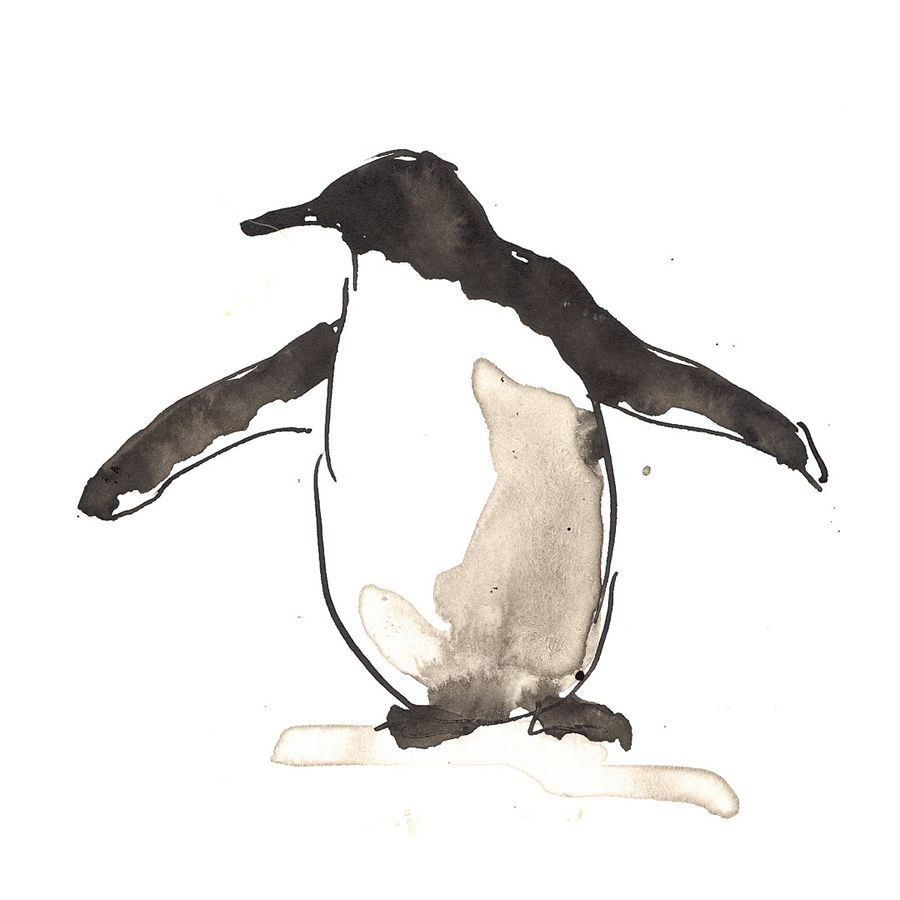 Ink and watercolour penguin with flippers out