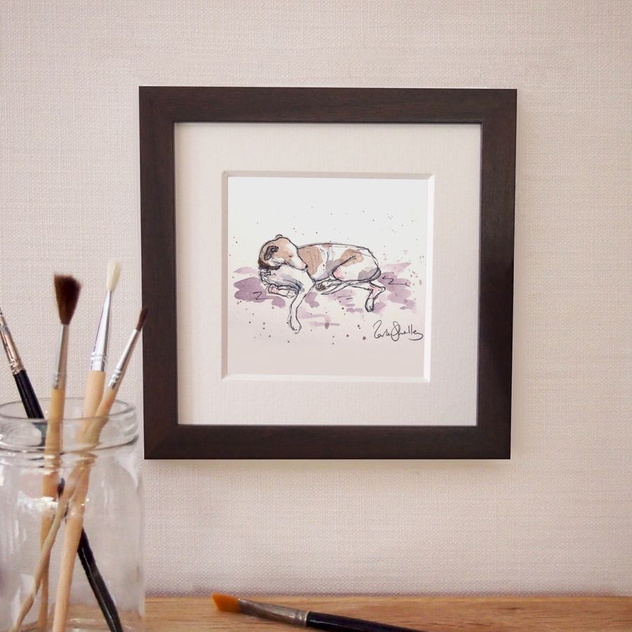 Pet portrait