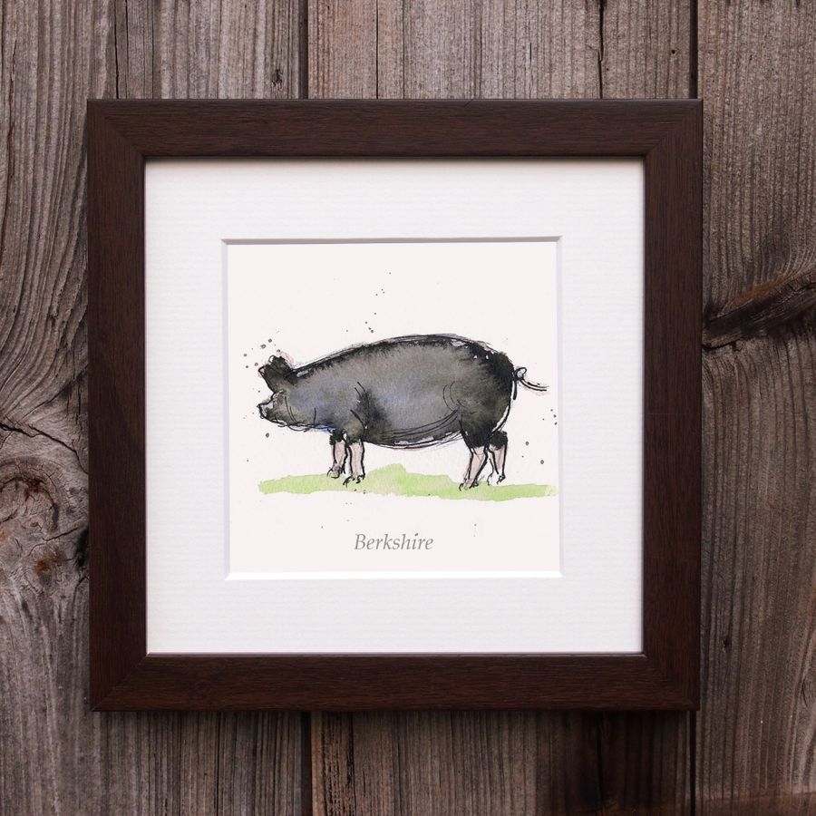 Berkshire pig illustration in a frame