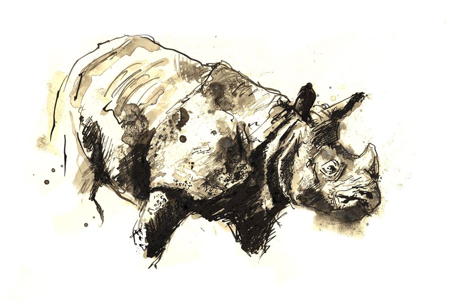 Rhino turning