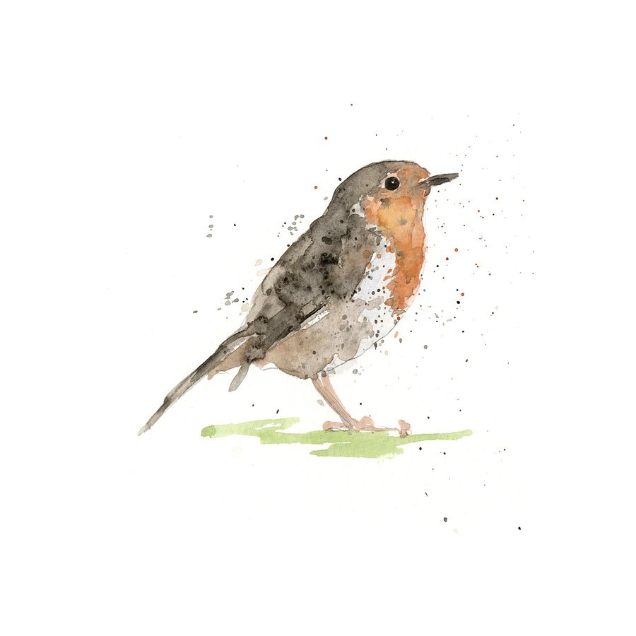 Ink and watercolour robin